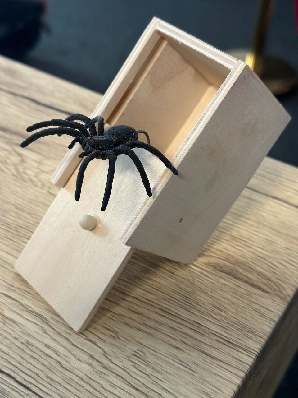 Arraignée Surprise